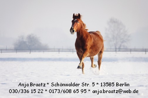 Anja Braatz, Schoenwalder Str. 5, 13585 Berlin, Tel. 0173 608 65 95, email anja.braatzATweb.de